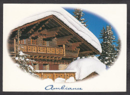 094171/ M. BERENGUER, *Ambiance*, Un Chalet En Montagne - Autres & Non Classés