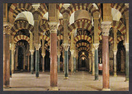 091204/ CÓRDOBA, Mezquita-catedral, Columnas - Córdoba
