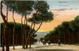 Beyrouth - Promenade Des Pins - Libano