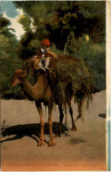 Egypt - Arab Boy An Camel - Personas