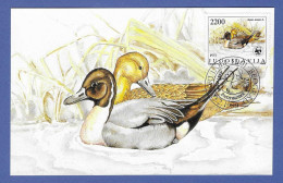 Jugoslawien  1989 , Enten - Maximum Card - First Day  Beograd 23.2.1989 - Maximumkaarten