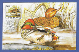 Jugoslawien  1989 , Enten - Maximum Card - First Day  Beograd 23.2.1989 - Cartes-maximum