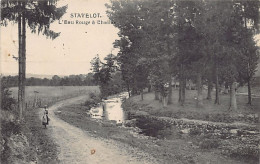 Stavelot - L'Eau Rouge à Challes. - Stavelot