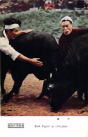 Japan - Bull Fight At Uwajima - Autres & Non Classés