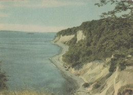 19109 - Binz - Kreideküste Bei Sassnitz Auf Rügen - Ca. 1965 - Ruegen