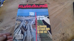 155/ LA VIE DU RAIL N° 2079  / Janvier   1987 / Les Bases De Depart / Enslovenie Le Transit Alpin Du Sud Est - Treinen