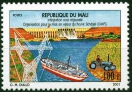 Mali 2001 Senegal River Fleuve Fluss OMVS, 100 Fcfa, 1 Valeur, Mnh, Rare - Malí (1959-...)