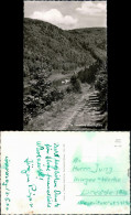 Hummersen (Weserbergland)-Lügde (Westfalen) Panorama-Ansicht 1960 - Lüdge