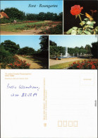 Ansichtskarte Forst (Lausitz) Baršć Rosengarten 1989 - Forst