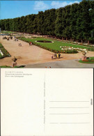 Ansichtskarte Schwetzingen Schlossgarten Mit Besuchern 1980 - Schwetzingen