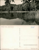 Ansichtskarte Binenwalde-Neuruppin Kleiner Tornowsee 1962 - Neuruppin