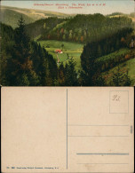 Ansichtskarte Masserberg Panorama-Ansicht Vom Fehrenstein 1913 - Masserberg