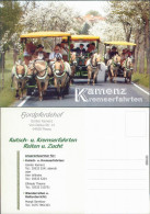Kamenz Kamjenc Reklame & Werbung - Fjordpferdehof Kamenz 1995 - Kamenz