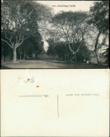 Postcard Tacna Avenue Cementerio Peru South America 1922 - Pérou