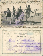 Postcard Südafrika Besharins Driving On Camles 1905 - Südafrika