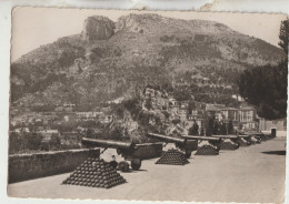 Monaco  G  F   Les Canons De La Place Du Palais  Et La Tete De Chien - Mehransichten, Panoramakarten