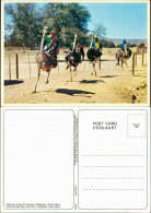 Postcard Oudtshoorn Ostriches Racing At Full Speed 1995 - South Africa