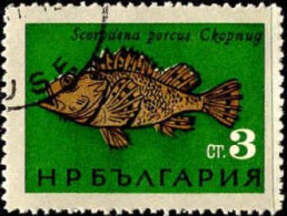 Bulgarie Poste Obl Yv:1330 Mi:1544 Scorpaena Porcus (cachet Rond) - Oblitérés
