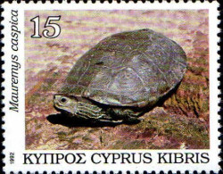 Chypre Poste N** Yv: 796 Mi:796 Mauremys Caspica - Ungebraucht