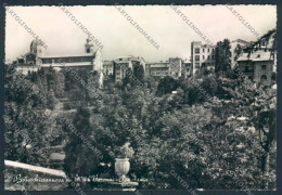 Verona Bosco Chiesanuova Foto FG Cartolina MQ2774 - Verona