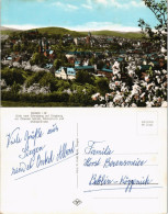 Ansichtskarte Siegen Baumblüte - Stadtpanorama 1968 - Siegen
