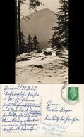 Ansichtskarte  Stimmungsbild Natur Wald-Berg Region DDR AK 1965/1964 - A Identifier