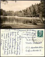 Ansichtskarte Rastenberg (Thüringen) Friedrich-Ludwig-Jahn-Bad Freibad 1965 - Rastenburg
