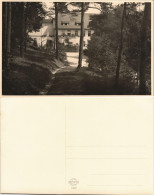 Foto  Haus Im Wald 1955 Privatfoto - A Identifier