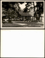 Foto Ludwigsburg Restaurant 1951 Privatfoto - Ludwigsburg