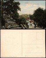 Ansichtskarte Hamburg Partie Aus Dem Botanischen Garten 1907 - Autres & Non Classés