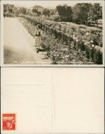 St. Gallen Ausstellung Garten Foto Mit Frau In Heimischer Trachten-Kleidung 1927 - Sonstige & Ohne Zuordnung