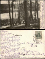 Ansichtskarte Grunewald-Berlin Partie Am Hundekehlensee 1905 - Grunewald