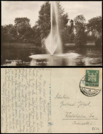 Ansichtskarte Bischofswerda Partie Im Friedrich August-Park, 1924 - Bischofswerda