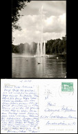Ansichtskarte Zwickau Schwanenteich, Fontäne - Fotokarte 1979 - Zwickau