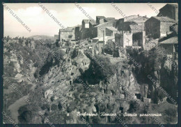 Viterbo Barbarano Romano Foto FG Cartolina MV1601 - Viterbo