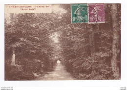 89 CHAMPIGNELLES Vers Charny Le Parc VIEL Sous Bois En 1928 - Charny