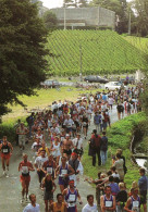 CLB - ATHLETISME - CPM - MARATHON DES CHATEAUX DU MEDOC ET DES GRAVES - Athlétisme