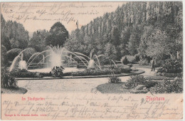 AK Pforzheim, Im Stadtgarten 1905 - Pforzheim