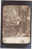 CPA  FRANCE  -- CARTE PHOTO  -- CARTE A IDENTIFIER VEIL ARBRE REMARQUABLE CHENE TILLEUL OLIVIER ?? ANIME 5 PERSONNES - Foto