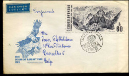 Cover  To Brussels, Belgium - Lettres & Documents