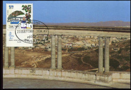 MC - Jerusalem - Cartoline Maximum