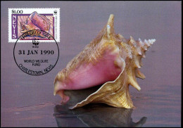 Nevis - Shell - Conchas