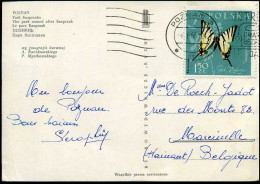 Post Card To Marcinelle, Belgium - Covers & Documents