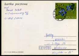 Postcard  - Stamped Stationery