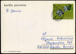 Postcard  - Postwaardestukken