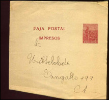 Republica Argentina, Faja Postal, Impresos - Interi Postali