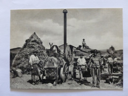 METIER AGRICOLE / BATTEUSE - PAYSANS / AUVERGNE - Carte Postale Moderne - Farmers