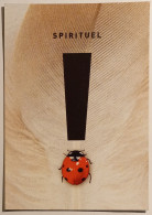 COCCINELLE / Point D'exclamation - Spirituel - Musée Art Sacré Du Gard - Carte Publicitaire - Insects