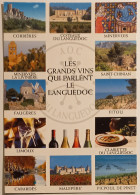 VINS LANGUEDOC / VIGNES - Minervois , Fitou , Limoux , Cabardes , Malepere , Picpoul Pinet ... - Carte Publicitaire - Viñedos