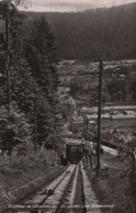 57642 - Bad Wildbad - Bergbahn Zum Sommerberg - Ca. 1960 - Calw